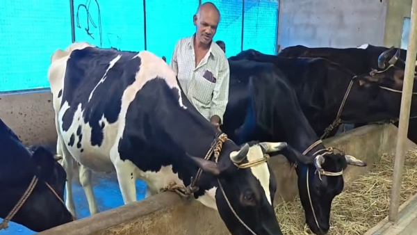 Dairy farm