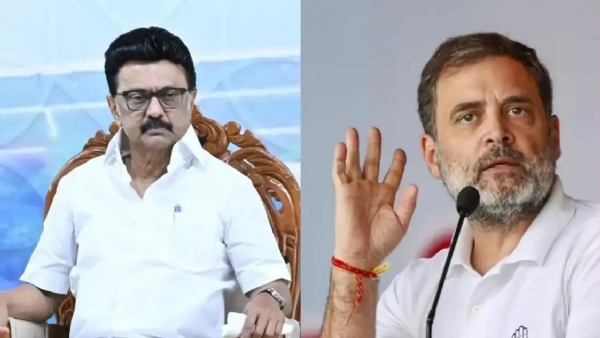 Assembly election