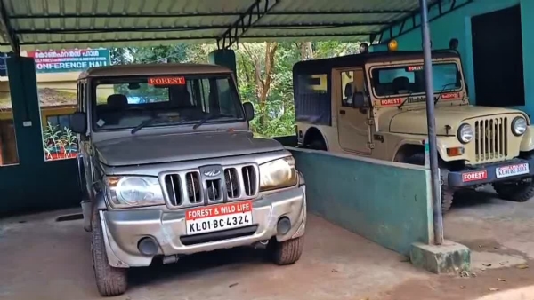 Nilambur forest division