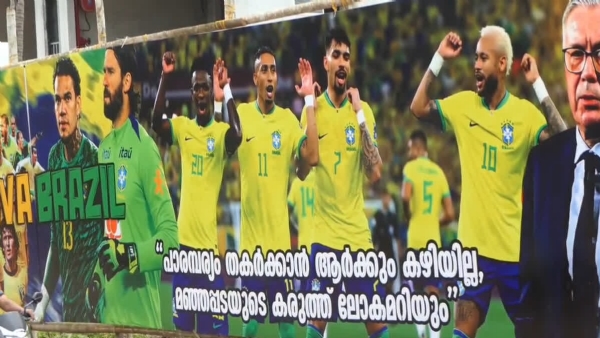 FIFA world cup Football fans