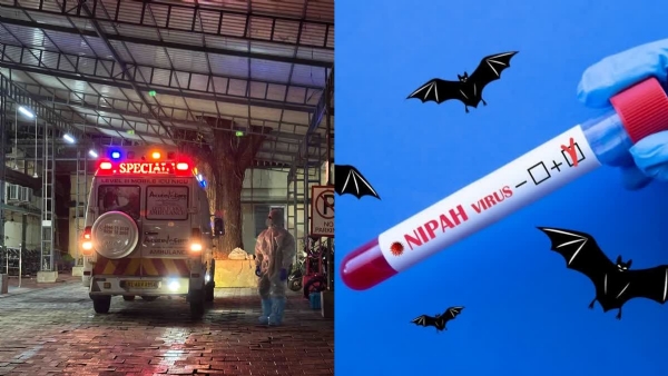 Nipah virus Nipah virus