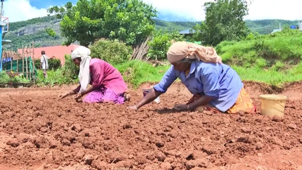 KANTHALLOOR AGRICULTURE