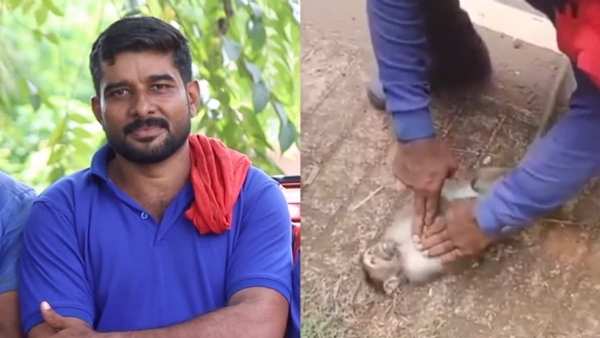 TIMBER WORKERS RESCUE MONKEY