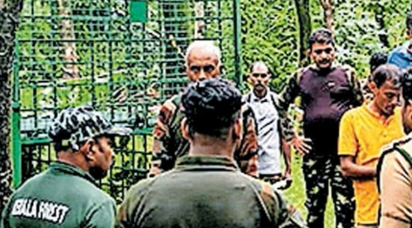 കേളകം ∙ വനം വകുപ്പിന്റെ പുതിയ ജനകീയ ഇടപെടലിന് നാട്ടുകാരുടെ കയ്യടി; പുലിപ്പേടിയിൽ കഴിയുന്ന മലയോര മേഖലയ്ക്ക് ആശ്വാസമായി സംയുക്ത തിരച്ചിൽ