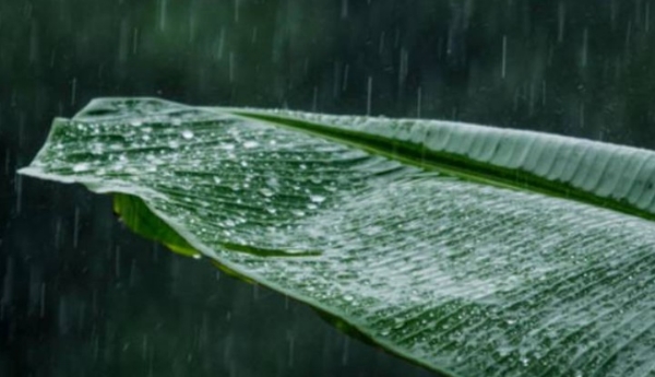 സംസ്ഥാനത്ത് കാലവർഷം ഇന്നെത്തിയേക്കും: എട്ട് ജില്ലകളിൽ ഓറഞ്ച് അലേർട്ട്, കനത്ത ജാഗ്രത