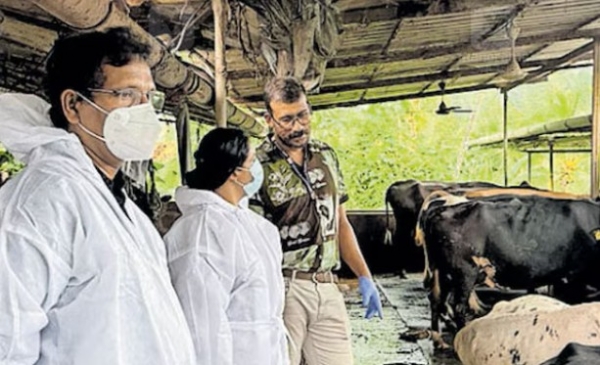 ഉദ്യോഗസ്ഥർക്ക് കർഷകന്റെ കണ്ണീരുകാണാൻ മനസ്സുണ്ടായിരുന്നെങ്കിൽ എന്റെ പശു ചാകില്ലായിരുന്നു: നെഞ്ചുപൊട്ടുന്ന വേദനയോടെ നായാട്ടുപാറയിലെ കർഷകൻ പ്രതീഷ്