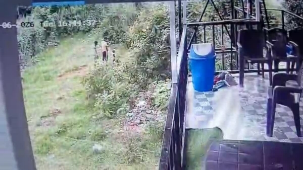Cruelty in Kanthalloor Cruelty in Kanthalloor