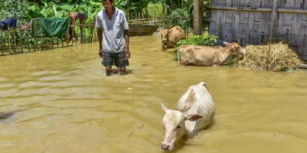 അസമിൽ പ്രളയം രൂക്ഷം: 24 മണിക്കൂറിനിടെ 10 മരണം; 11 ജില്ലകളിലായി 6.5 ലക്ഷത്തിലധികം ആളുകളെ ബാധിച്ചു