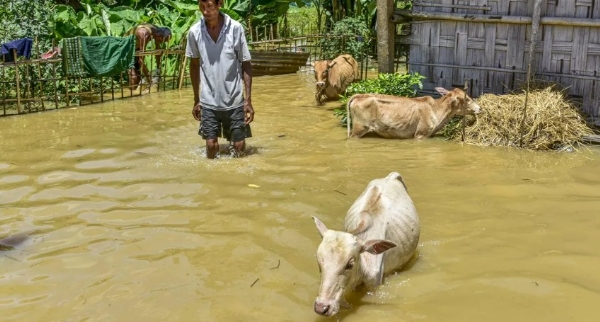 അസമിൽ പ്രളയം രൂക്ഷം: 24 മണിക്കൂറിനിടെ 10 മരണം; 11 ജില്ലകളിലായി 6.5 ലക്ഷത്തിലധികം ആളുകളെ ബാധിച്ചു