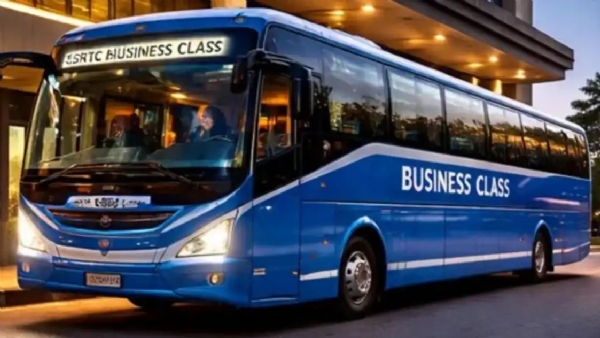 Business class bus
