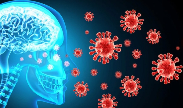 കോഴിക്കോട് അമീബിക് മസ്തിഷ്കജ്വരം ബാധിച്ച് ഓട്ടോ ഡ്രൈവർ മരിച്ചു; ജില്ലയിൽ ജാഗ്രതാ നിർദ്ദേശം ശക്തമാക്കി ആരോഗ്യവകുപ്പ് കോഴിക്കോട് അമീബിക് മസ്തിഷ്കജ്വരം ബാധിച്ച് ഓട്ടോ ഡ്രൈവർ മരിച്ചു; ജില്ലയിൽ ജാഗ്രതാ നിർദ്ദേശം ശക്തമാക്കി ആരോഗ്യവകുപ്പ്