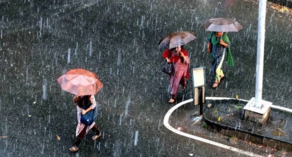 സംസ്ഥാനത്ത് പ്രകൃതിക്ഷോഭ മുന്നറിയിപ്പ്: ശനിയാഴ്ച വരെ ഇടിമിന്നലോടുകൂടിയ അതിശക്തമായ മഴയ്ക്കും കാറ്റിനും സാധ്യത; 11 ജില്ലകളിൽ അലർട്ട്, കടലിൽ പോകരുതെന്ന് കർശന നിർദ്ദേശം സംസ്ഥാനത്ത് പ്രകൃതിക്ഷോഭ മുന്നറിയിപ്പ്: ശനിയാഴ്ച വരെ ഇടിമിന്നലോടുകൂടിയ അതിശക്തമായ മഴയ്ക്കും കാറ്റിനും സാധ്യത; 11 ജില്ലകളിൽ അലർട്ട്, കടലിൽ പോകരുതെന്ന് കർശന നിർദ്ദേശം