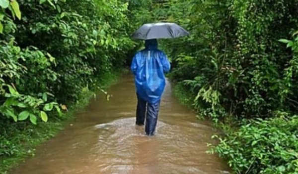 സംസ്ഥാനത്ത് മഴ ശക്തമാകുന്നു: മൂന്ന് ജില്ലകളിൽ ഓറഞ്ച് അലർട്ട്, ഞായറാഴ്ച വരെ പരക്കെ മഴയ്ക്ക് സാധ്യത സംസ്ഥാനത്ത് മഴ ശക്തമാകുന്നു: മൂന്ന് ജില്ലകളിൽ ഓറഞ്ച് അലർട്ട്, ഞായറാഴ്ച വരെ പരക്കെ മഴയ്ക്ക് സാധ്യത