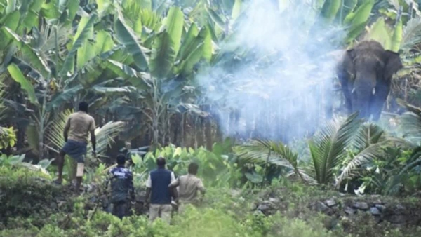 WILDLIFE MANAGEMENT KERALA WILDLIFE MANAGEMENT KERALA