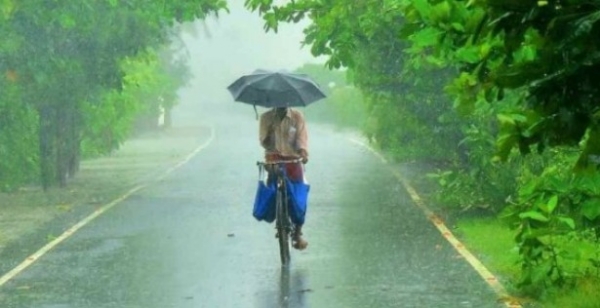 സംസ്ഥാനത്ത് കാലവർഷം കനക്കുന്നു; ഇന്ന് 11 ജില്ലകളിൽ യെല്ലോ അലർട്ട്, ചൊവ്വാഴ്ച വരെ വ്യാപക മഴയ്ക്ക് സാധ്യത സംസ്ഥാനത്ത് കാലവർഷം കനക്കുന്നു; ഇന്ന് 11 ജില്ലകളിൽ യെല്ലോ അലർട്ട്, ചൊവ്വാഴ്ച വരെ വ്യാപക മഴയ്ക്ക് സാധ്യത
