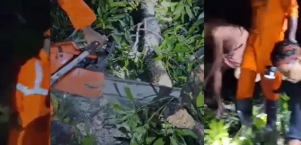 പയ്യന്നൂരിൽ അർദ്ധരാത്രിയിൽ ആഞ്ഞടിച്ച് ശക്തമായ കാറ്റ്: വെള്ളൂരിലും കിഴക്കുമ്പാട്ടിലും മരങ്ങൾ കടപുഴകി; വ്യാപക നാശനഷ്ടം, ഗതാഗതവും വൈദ്യുതിയും തടസ്സപ്പെട്ടു പയ്യന്നൂരിൽ അർദ്ധരാത്രിയിൽ ആഞ്ഞടിച്ച് ശക്തമായ കാറ്റ്: വെള്ളൂരിലും കിഴക്കുമ്പാട്ടിലും മരങ്ങൾ കടപുഴകി; വ്യാപക നാശനഷ്ടം, ഗതാഗതവും വൈദ്യുതിയും തടസ്സപ്പെട്ടു