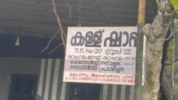 TODDY SHORTAGE TODDY SHORTAGE