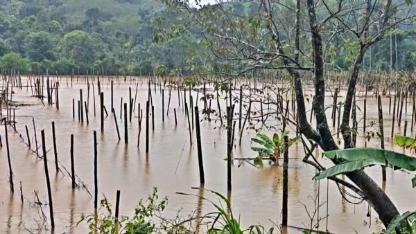 AGRICULTURE CRISIS IN WAYANAD