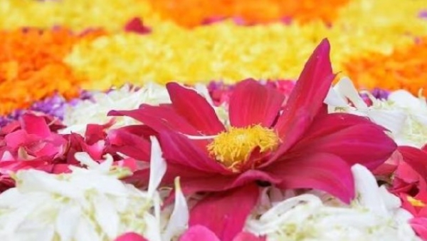 ഇന്ന് അത്തം; മലയാളിയുടെ മനസ്സിലും മുറ്റത്തും ഇനി പൂക്കാലം: ഇത്തവണ തിരുവോണം അത്തം പതിനൊന്നിന് ഇന്ന് അത്തം; മലയാളിയുടെ മനസ്സിലും മുറ്റത്തും ഇനി പൂക്കാലം: ഇത്തവണ തിരുവോണം അത്തം പതിനൊന്നിന്
