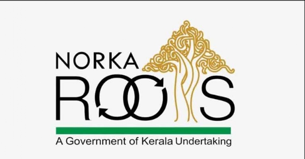 Norka roots Norka roots