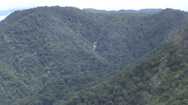 KERALA FOREST LAND DIVERSION