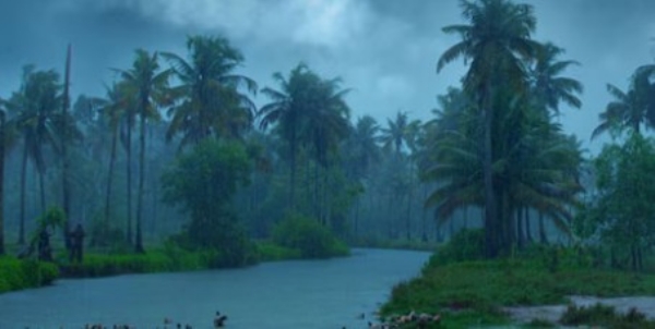 സംസ്ഥാനത്ത് മഴ ശക്തമാകാൻ സാധ്യത: വിവിധ ജില്ലകളിൽ മഞ്ഞ അലർട്ട് പ്രഖ്യാപിച്ചു