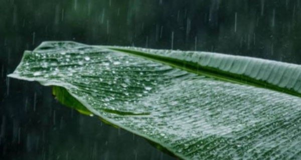 സംസ്ഥാനത്ത് കാലവർഷം കനക്കുന്നു: മഴയിൽ വൻ വർധനവ്, ദുരന്തങ്ങളിൽ മരണം 16 ആയി, ധനസഹായം പ്രഖ്യാപിച്ച് സർക്കാർ