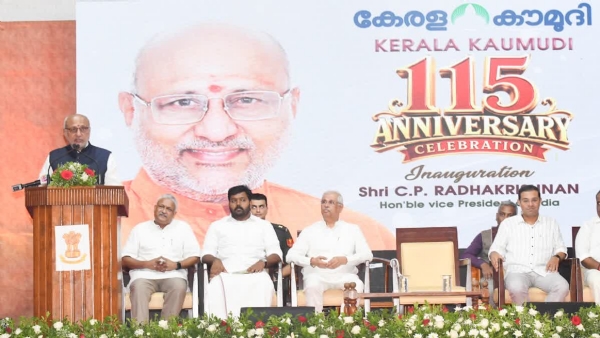 Vice president