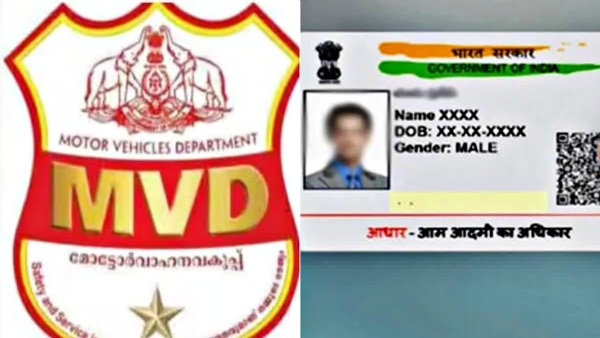 MVD 60 SERVICES UPDATED