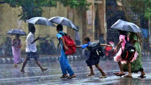 Rain Rain