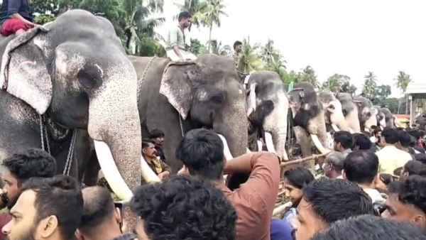 ANAYOOTTU AT THRISSUR ANAYOOTTU AT THRISSUR