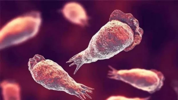 AMOEBIC ENCEPHALITIS KERALA AMOEBIC ENCEPHALITIS KERALA