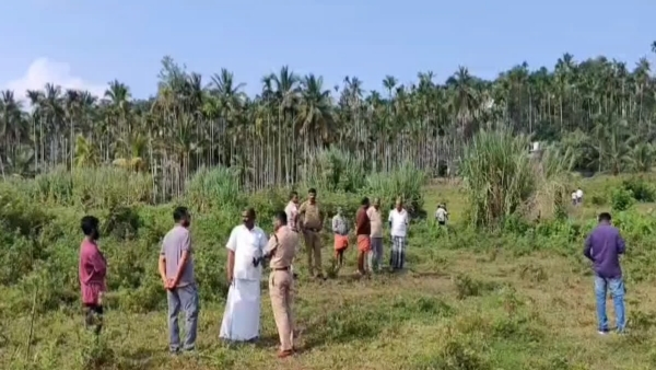 Tiger attack