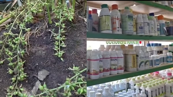 FERTILIZER PRICE HIKE KERALA FERTILIZER PRICE HIKE KERALA