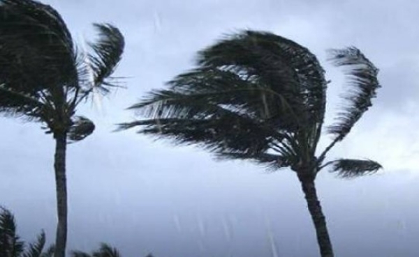 വേനൽച്ചൂടിന് ശമനം: സംസ്ഥാനത്ത് വ്യാഴം, വെള്ളി ദിവസങ്ങളിൽ മഴയ്ക്ക് സാധ്യത; വിവിധ ജില്ലകളിൽ യെല്ലോ അലർട്ട് വേനൽച്ചൂടിന് ശമനം: സംസ്ഥാനത്ത് വ്യാഴം, വെള്ളി ദിവസങ്ങളിൽ മഴയ്ക്ക് സാധ്യത; വിവിധ ജില്ലകളിൽ യെല്ലോ അലർട്ട്